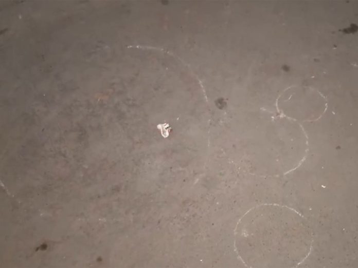 दिल्ली : नेहरू विहार में तीन हमलावरों ने एक व्यक्ति की गोली मारकर हत्या की, जांच जारी