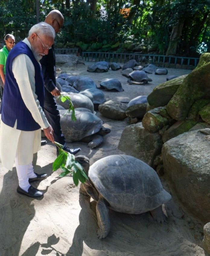 पीएम मोदी ने सेशेल्स के राष्ट्रपति डॉ. पैट्रिक हर्मिनी के साथ सेशेल्स नेशनल बॉटनिकल गार्डन में जाइंट टॉर्टॉइस एनक्लोजर किया दौरा